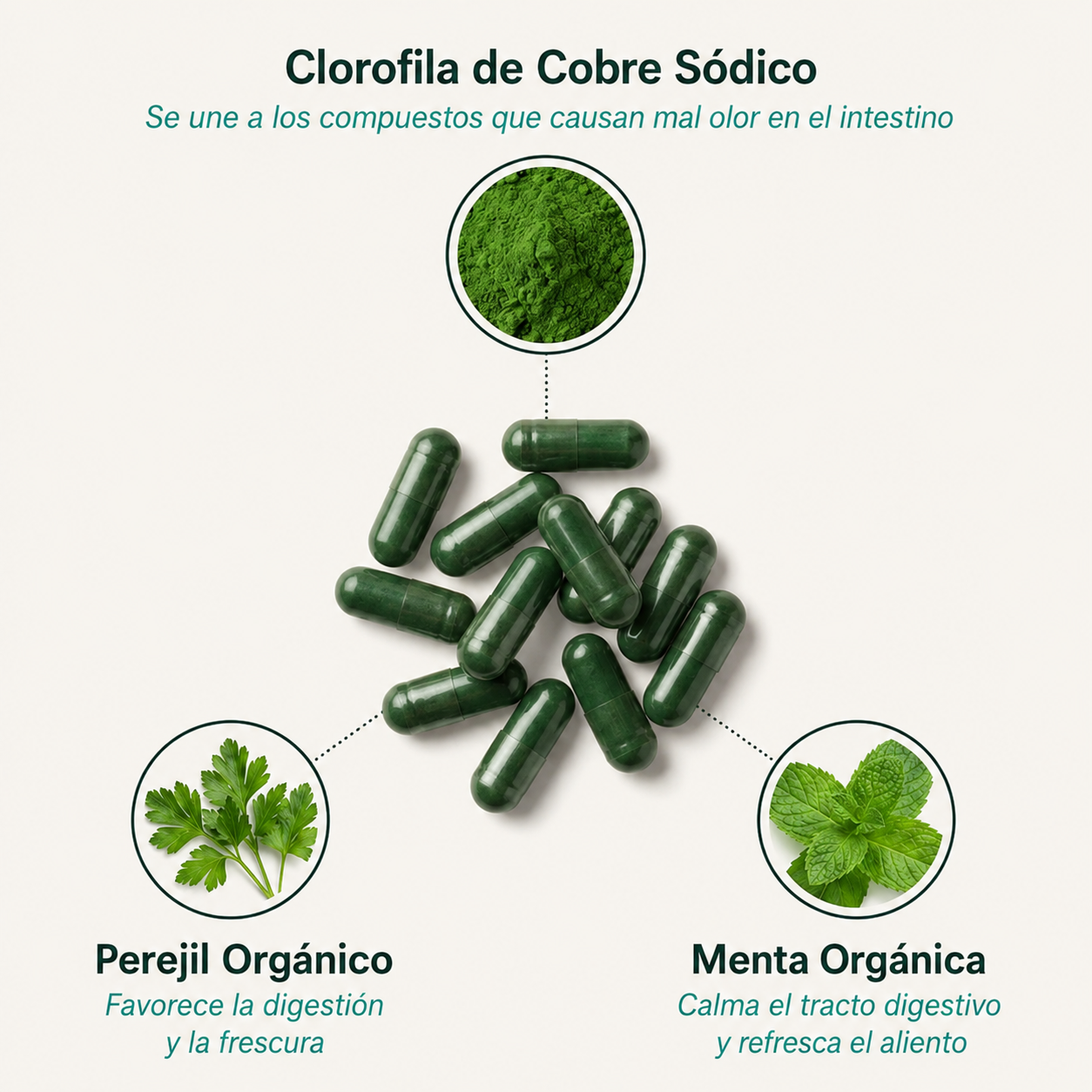 Desodorante corporal Deos® 60 cápsulas